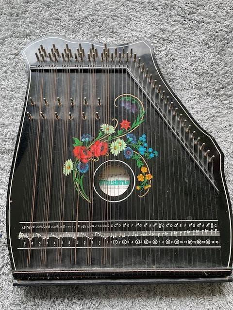 citer, Muziek en Instrumenten, Ophalen, Gebruikt