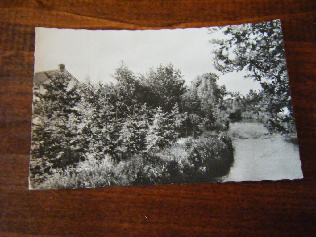 B36 - Aalst - Tongelreep - Mooi/Oud, Ophalen of Verzenden, 1960 tot 1980, Gelderland