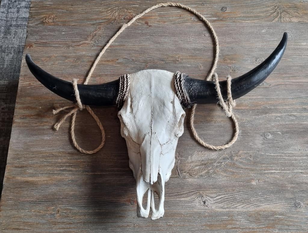 Decoratieve Stierenkop met Hoorns - Western Stijl, Ophalen, Gebruikt