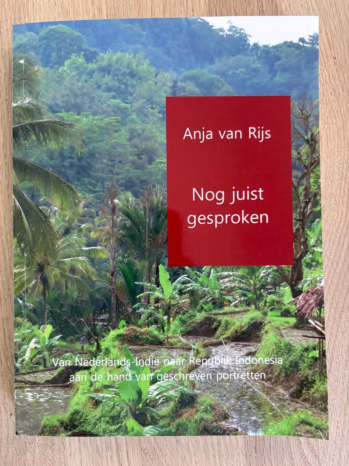 Anja van Rijs - Nog juist gesproken, Ophalen, Zo goed als nieuw, Anja van Rijs