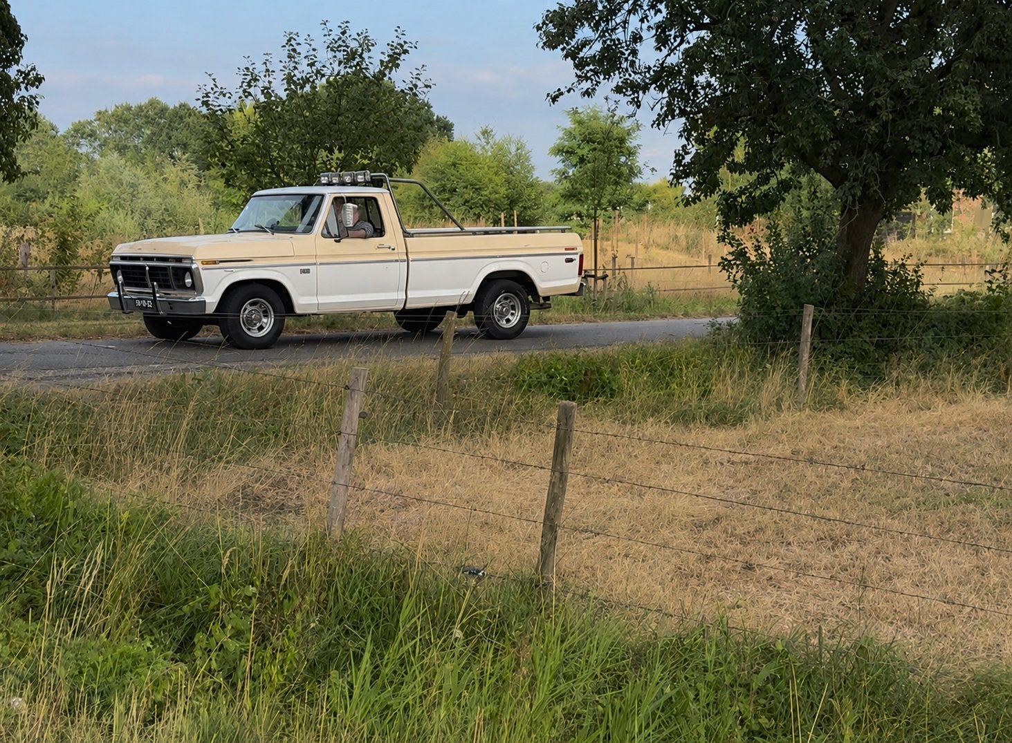 Ford f100 rolbeugel lampenbeugel traanplaat, Ophalen, F, F, Ford