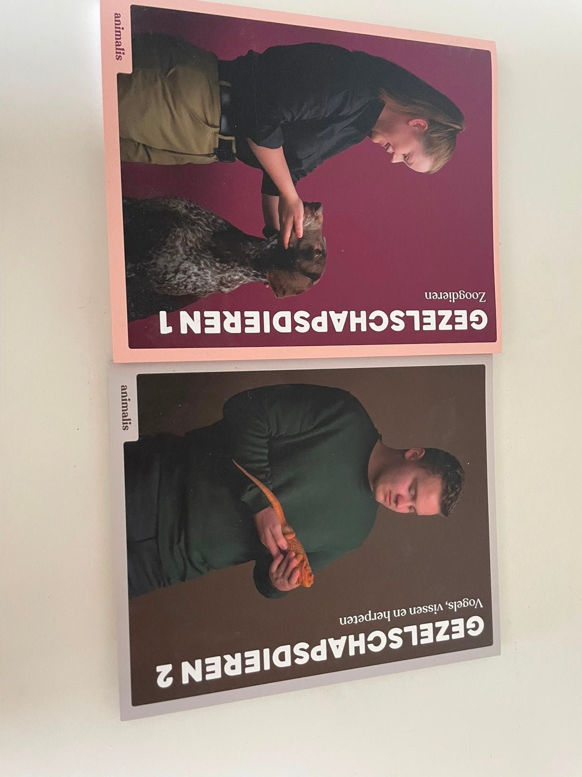 Animalis boeken MBO Dierverzorging, Ophalen, Beta, Zo goed als nieuw, MBO