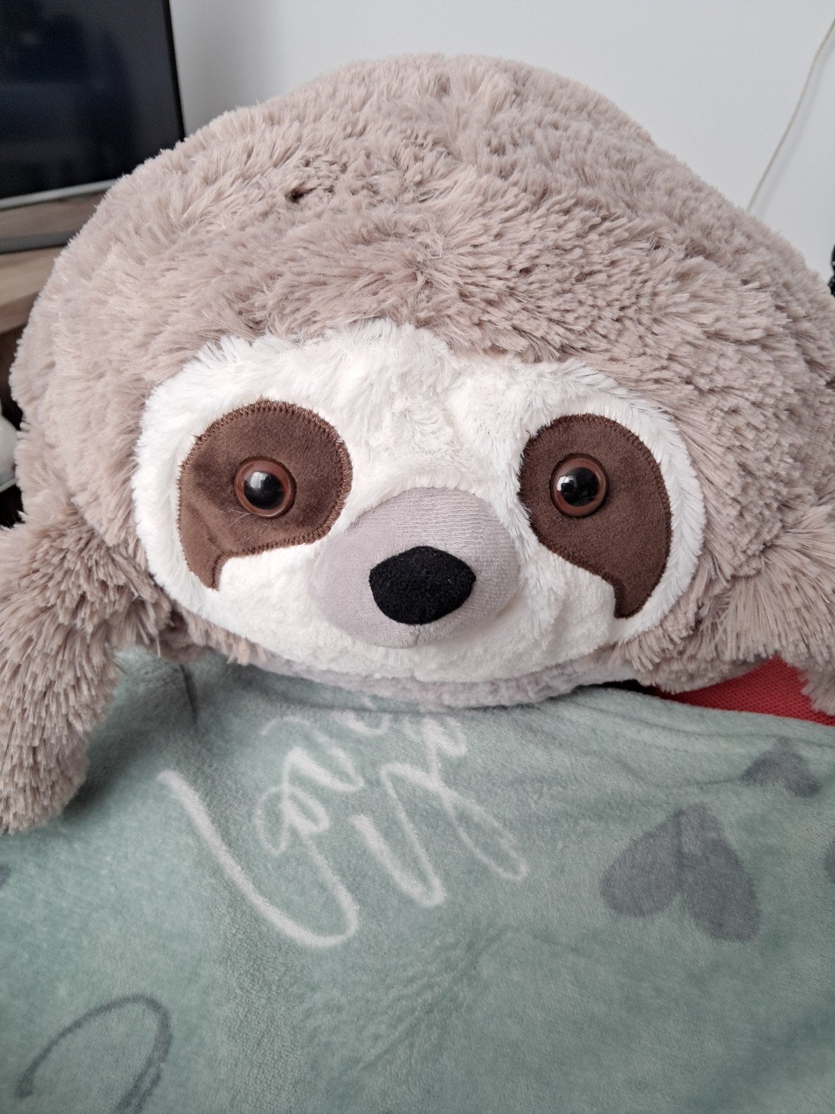 Luiaard handwarmer knuffel en zachte kat knuffel, Kinderen en Baby's, Speelgoed | Knuffels en Pluche, Ophalen