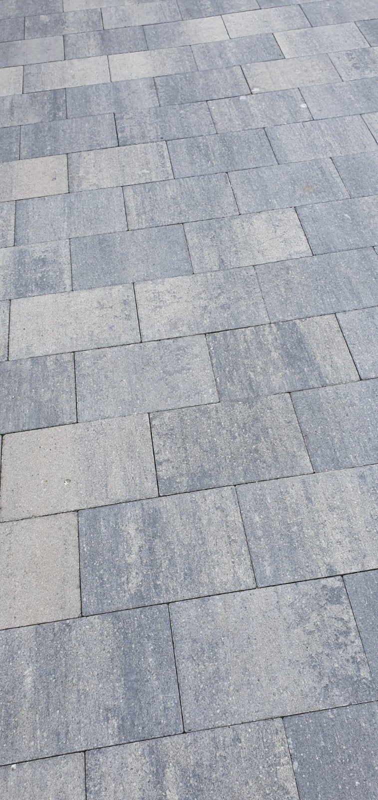 Dakota Brushed Stone Flora Terrastegels 30x20x6 cm, Tuin en Terras, Tegels en Klinkers, Ophalen, Nieuw, 5 tot 10 m², Beton