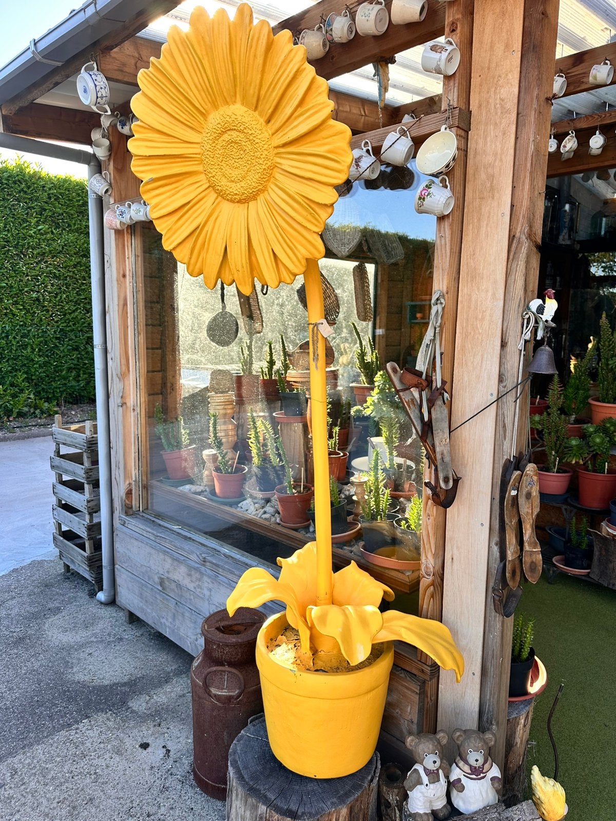Decoratie zonnebloem, Ophalen