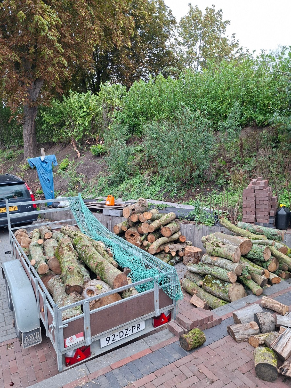 Vers gekapt brandhout - Stammen en blokken, 6 m³ of meer, Ophalen, Overige houtsoorten, Stammen