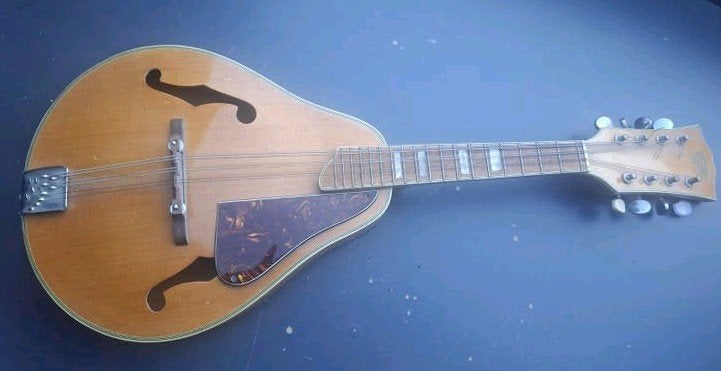 Vintage Hondo II Mandoline, Muziek en Instrumenten, Ophalen of Verzenden, Gebruikt