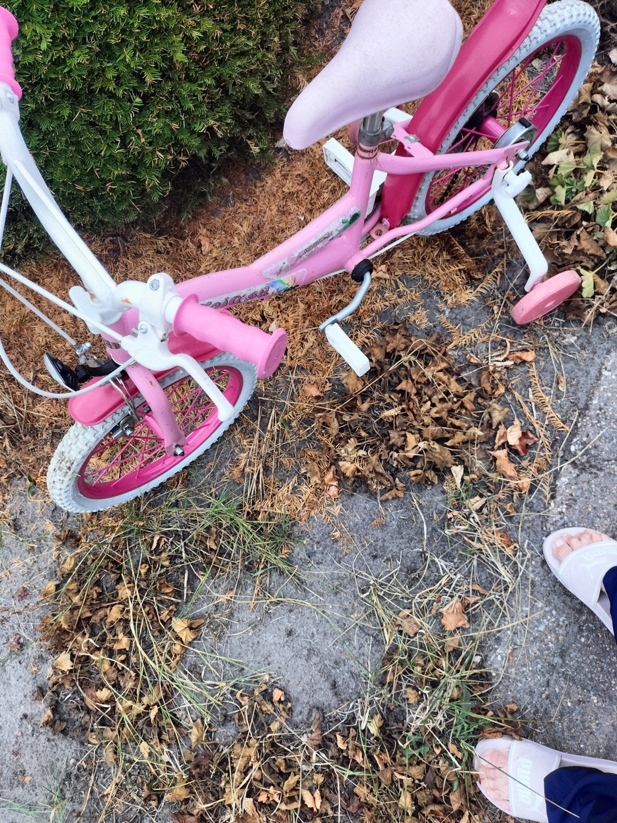 Roze kinderfiets met zijwieltjes - 16 inch, Fietsen en Brommers, Fietsen | Kinderfietsjes, Ophalen, Zijwieltjes, Velgrem, Toi-Toys