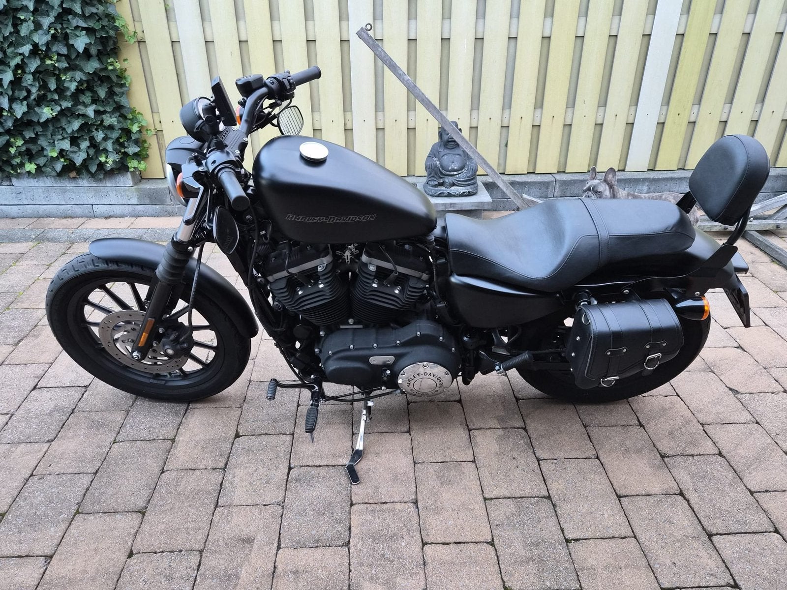 HD sportster XL 883 iron, Chopper
