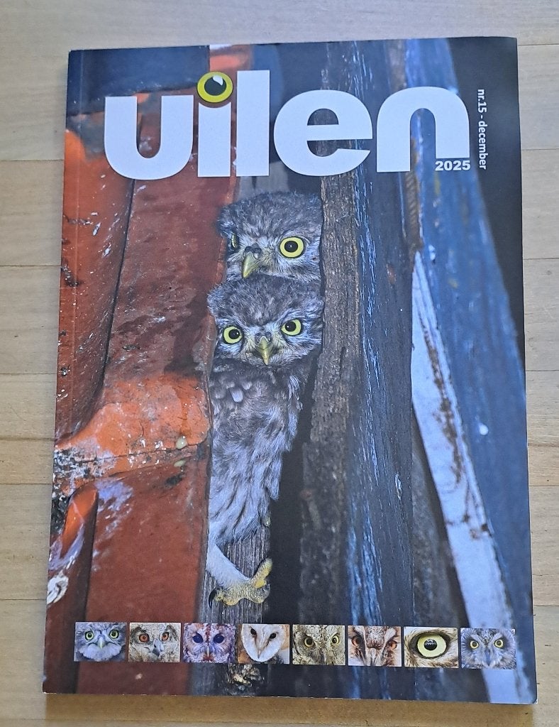 Uilen, mooi blad, over alle uilen, Boeken, Natuur, Ophalen of Verzenden, Zo goed als nieuw, Vogels, Diverse auteurs
