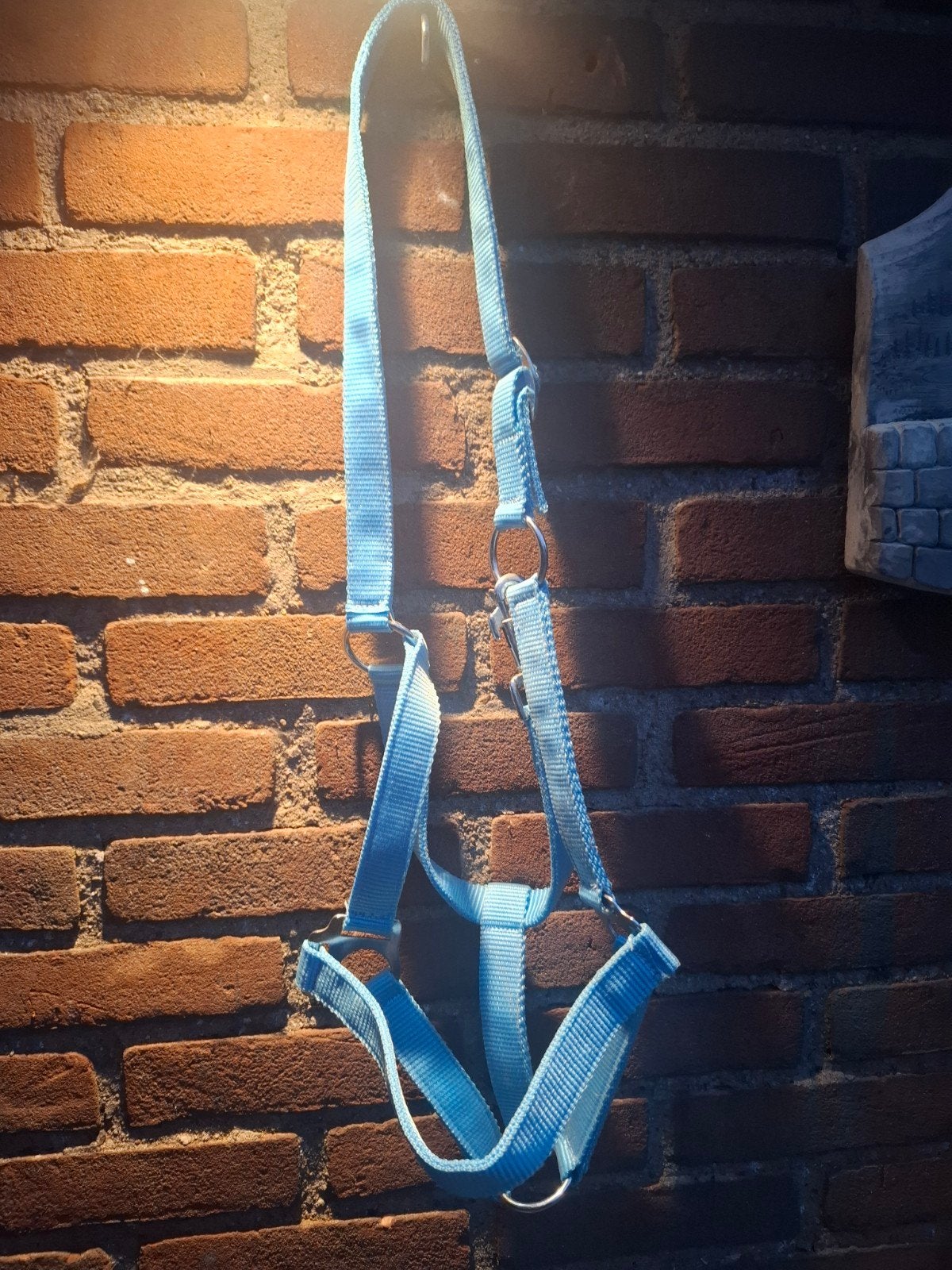 te koop hoofdstel, Ophalen, Hoofdstel, Zo goed als nieuw, Blauw