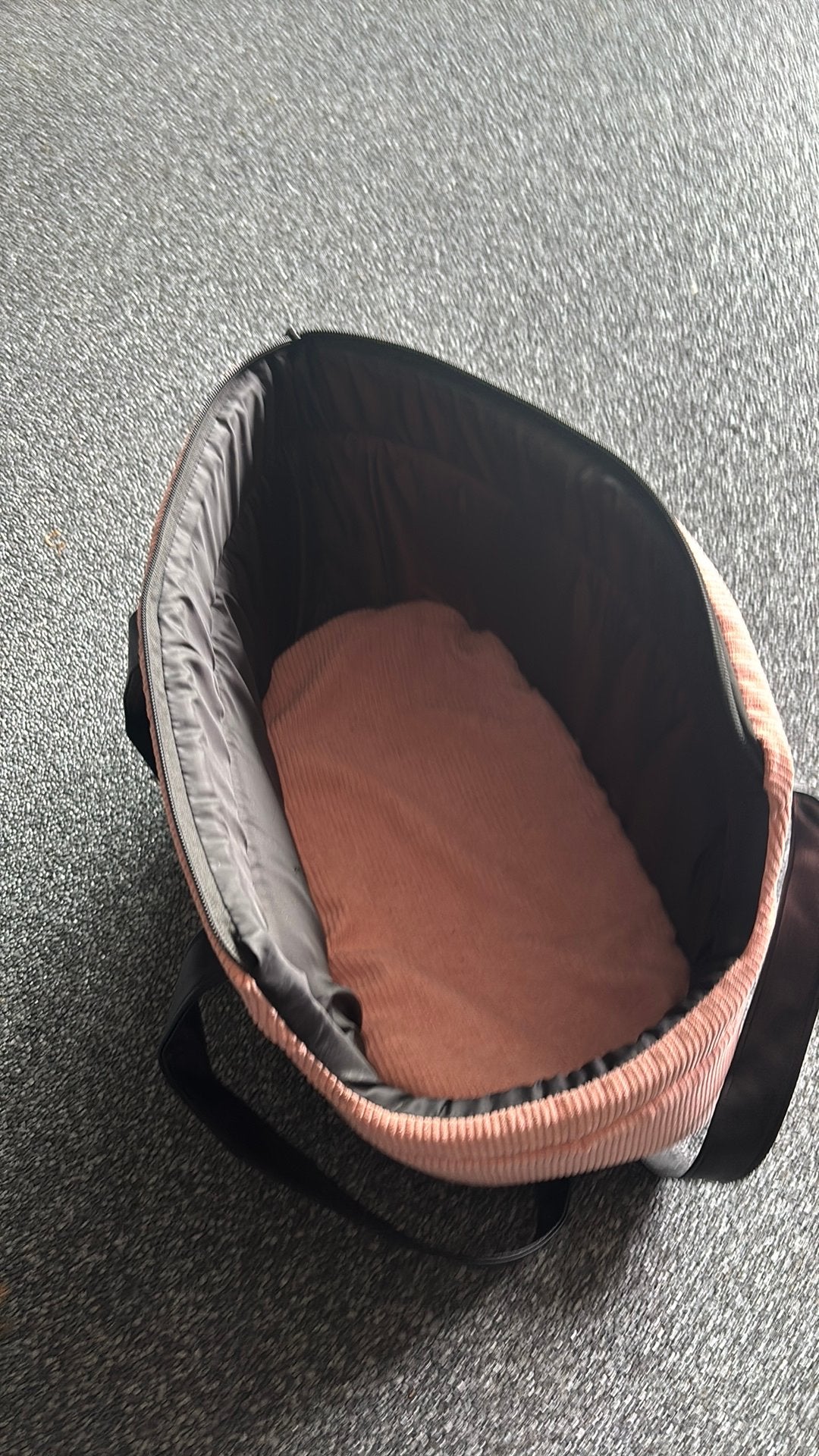 Reistas kleine hond of pup, Ophalen, Zo goed als nieuw