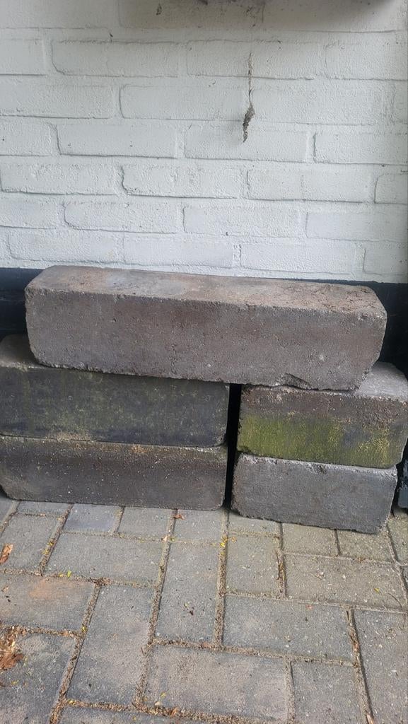 Gratis 5 stapelblokken, Tuin en Terras, Bielzen en Borders, Ophalen of Verzenden, Minder dan 100 cm, Minder dan 25 cm