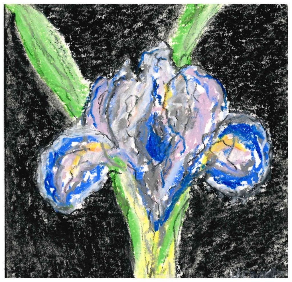 Origineel Pastel werk  Henk de Bouter IRIS, Antiek en Kunst, Ophalen of Verzenden