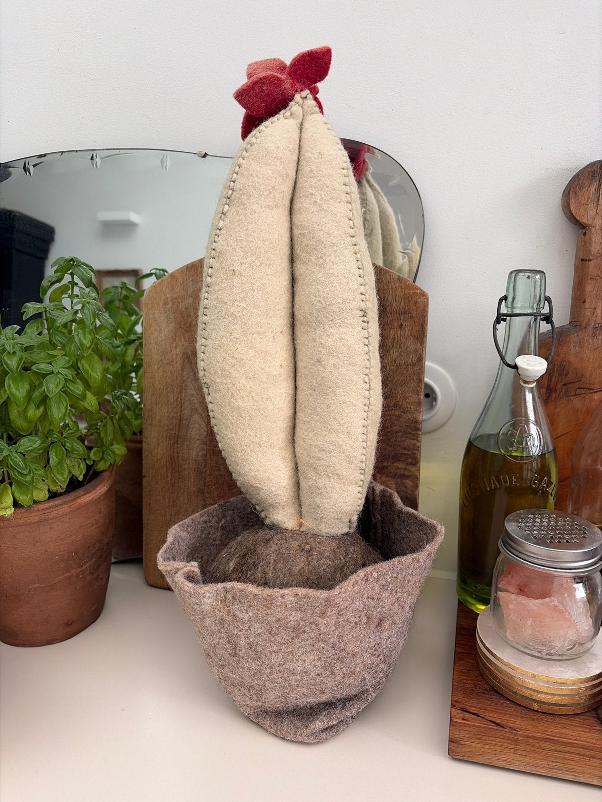 Unieke handgemaakte cactus van wolvilt, Ophalen of Verzenden, Nieuw