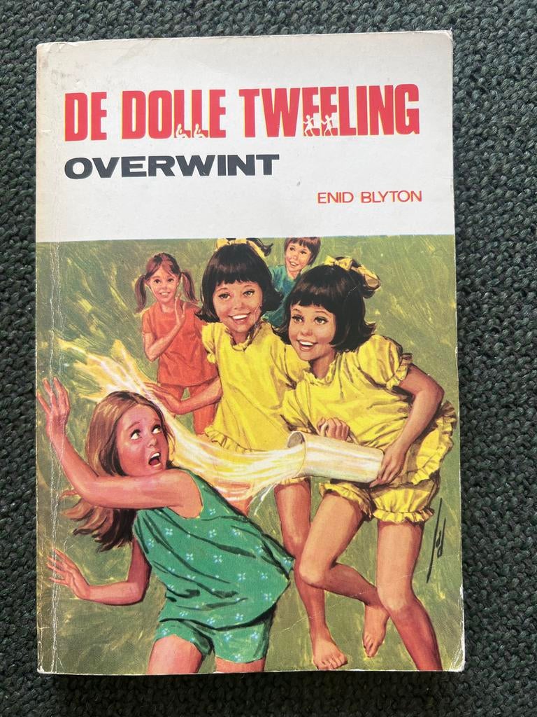 De dolle tweeling overwint Enid Blyton, Ophalen of Verzenden, Zo goed als nieuw