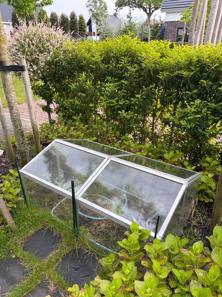 Tuinkas voor een moestuin, Ophalen, Zo goed als nieuw
