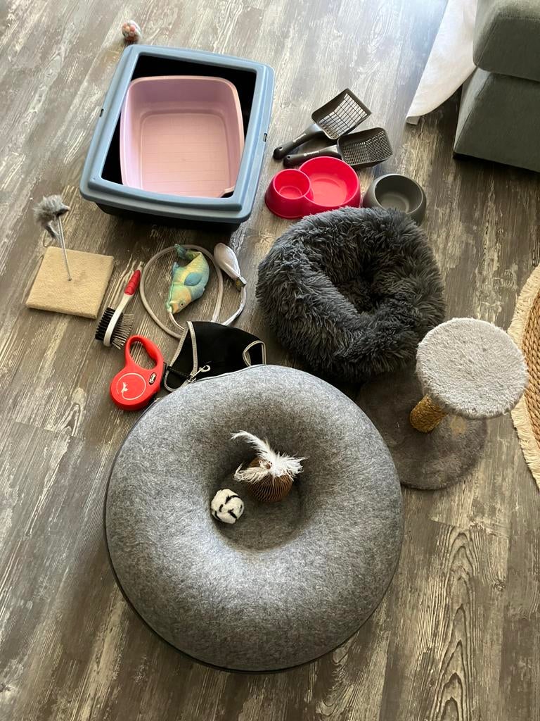 Kitten pakket, Ophalen, Zo goed als nieuw