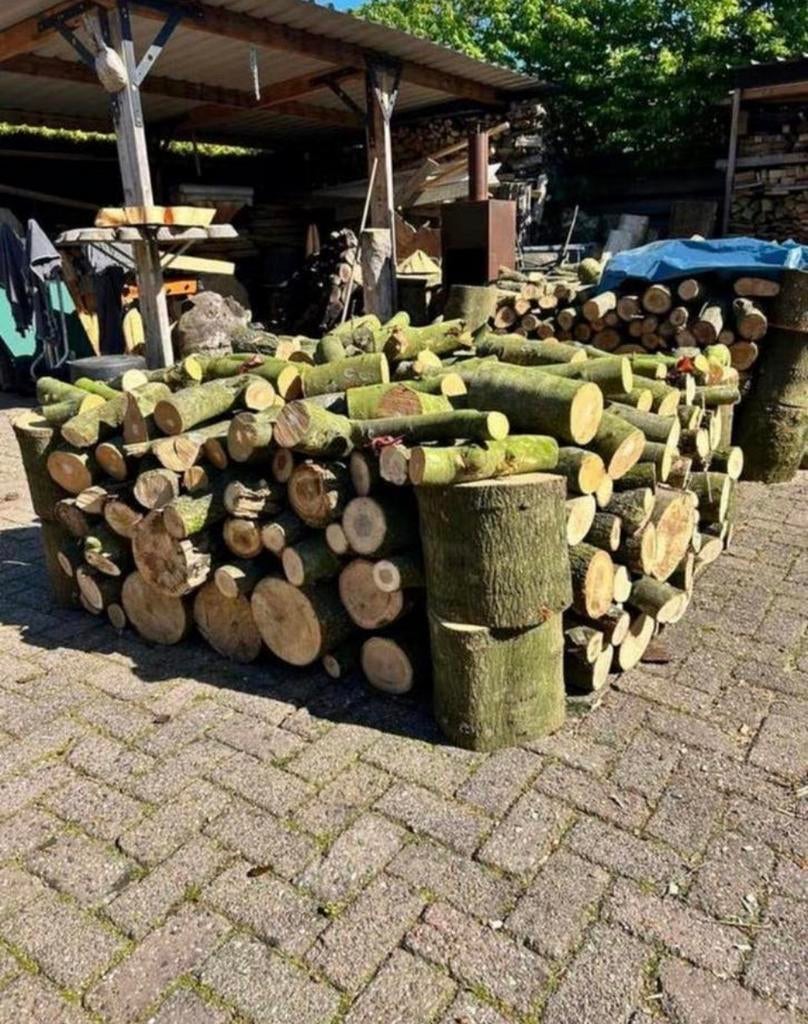Haardhout Beuken en Eiken, Minder dan 3 m³, Ophalen of Verzenden, Beukenhout, Blokken