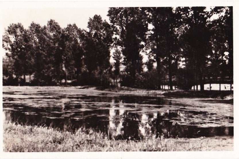 Gulpen forellenkwekerij Oude Gelopen Ansichtkaart (B1769, Ophalen of Verzenden, Voor 1920, Gelopen, Limburg