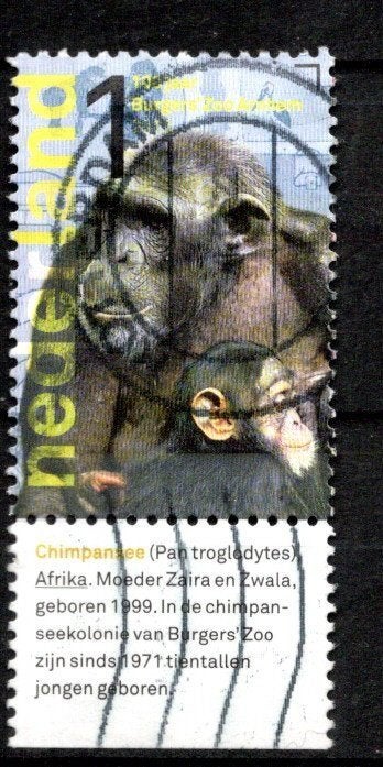 gestempelde zegel. Jaar 2013: Zoo met tab, Postzegels en Munten, Postzegels | Nederland, Ophalen of Verzenden, Na 1940, Gestempeld