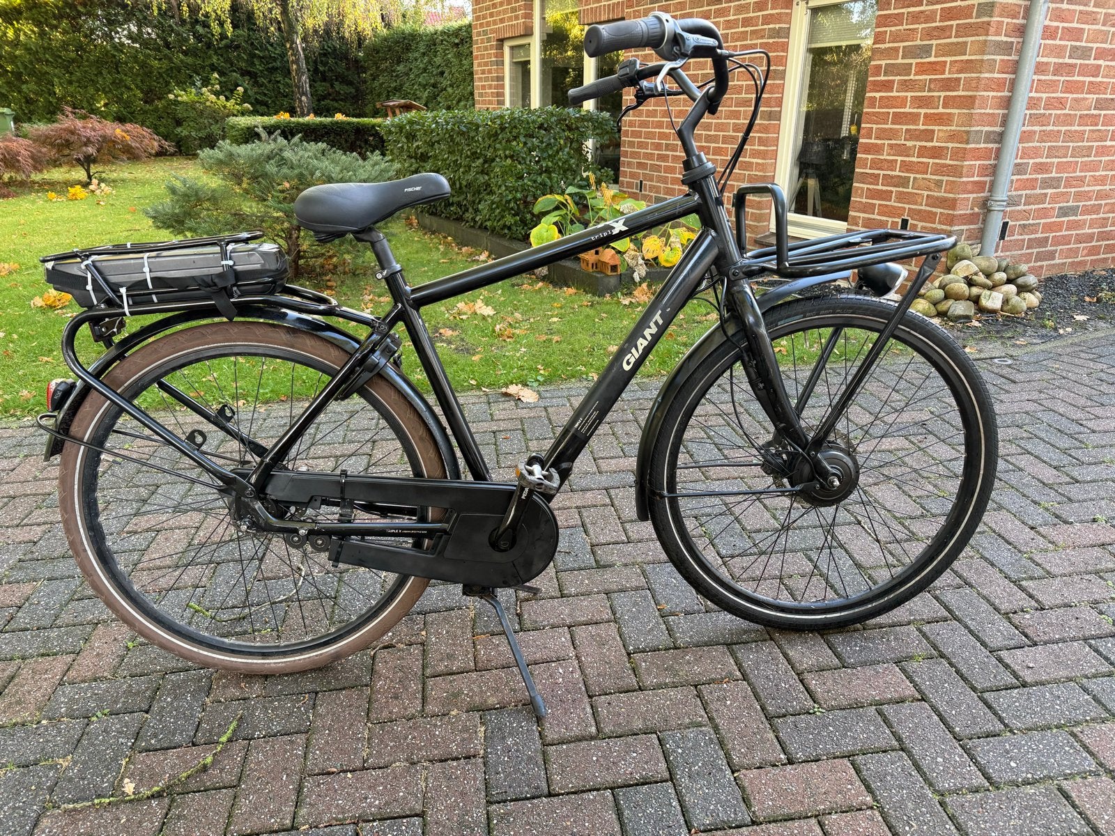 Giant Triple X elektrische fiets 55 CM (2022), 55 tot 59 cm, Ophalen of Verzenden, Gebruikt, Giant