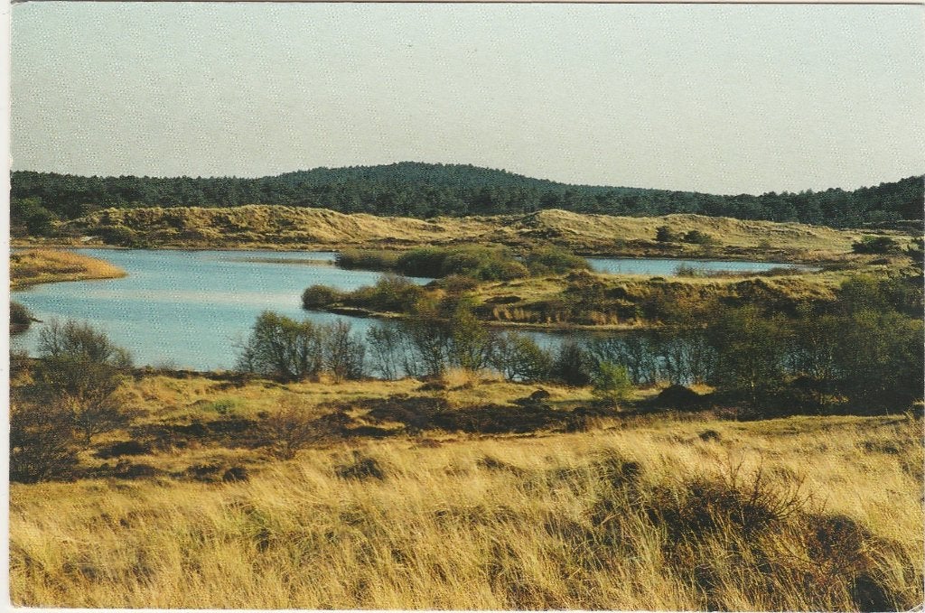 SCHOORL Schoorlse Duinen Staatsbosbeheer, Verzamelen, Verzenden, 1980 tot heden, Gelopen, Noord-Holland
