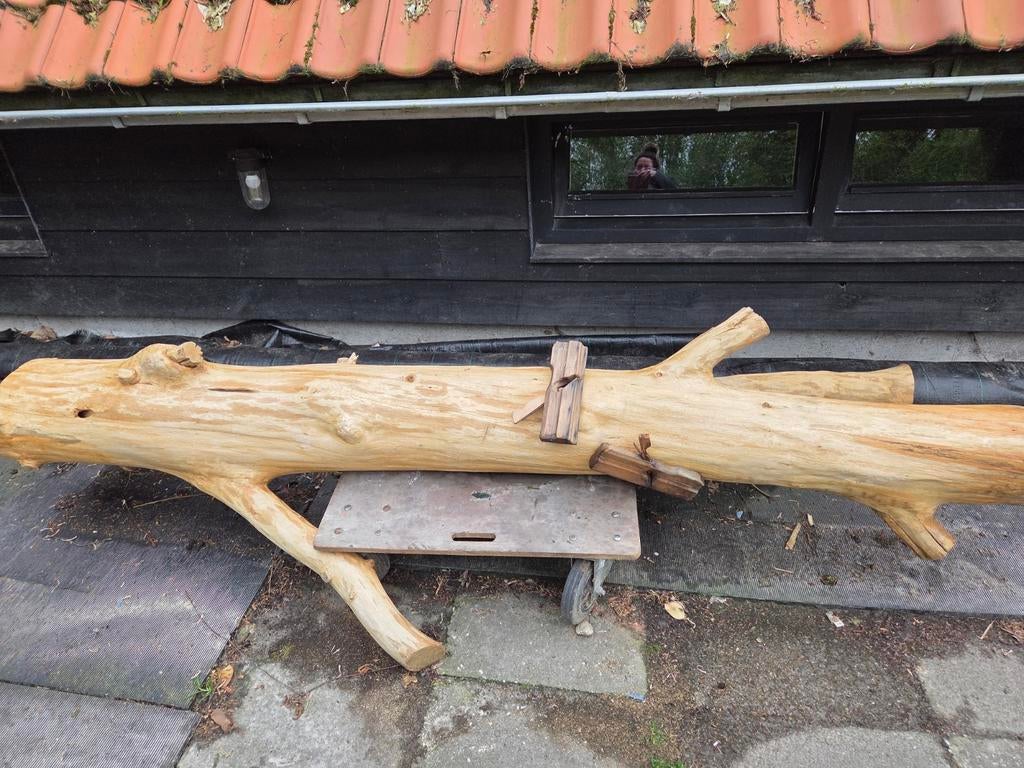 Decoratieve boomstam - Uniek stuk voor tuin/interieur, Doe-het-zelf en Verbouw, Hout en Planken, Gebruikt, Ophalen of Verzenden