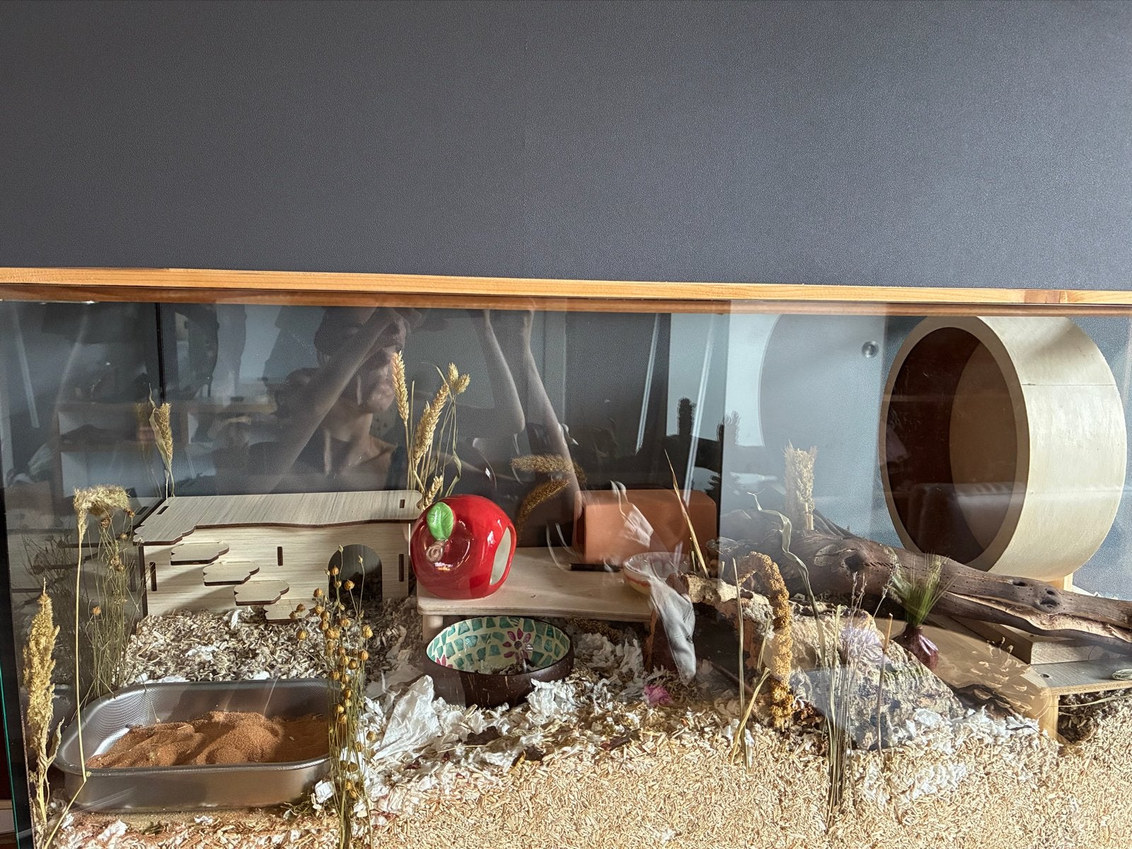 Hamster kooi / Terrarium, Dieren en Toebehoren, Kooi, Zo goed als nieuw, Muis, 75 tot 110 cm