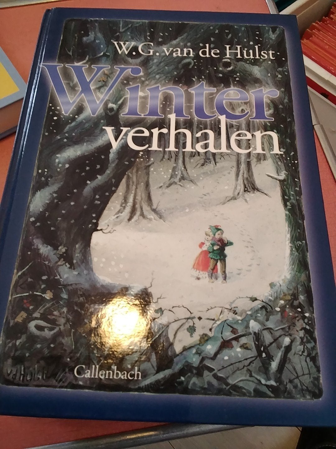 w.g de hulst winter verhalen € 5, Ophalen of Verzenden, Gelezen