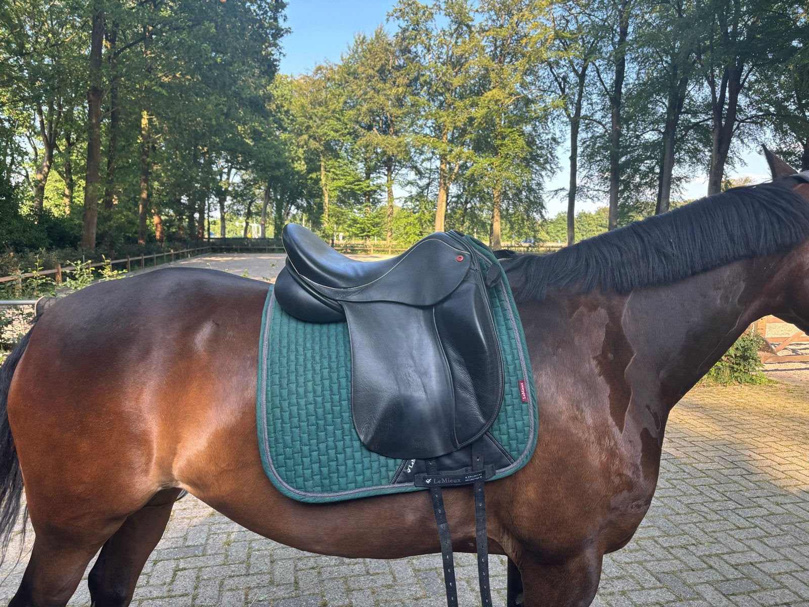 Prachtig Tribal mono zadel – maat 17 inch, Dieren en Toebehoren, Paarden en Pony's | Zadels, Ophalen, Zo goed als nieuw, Dressuur