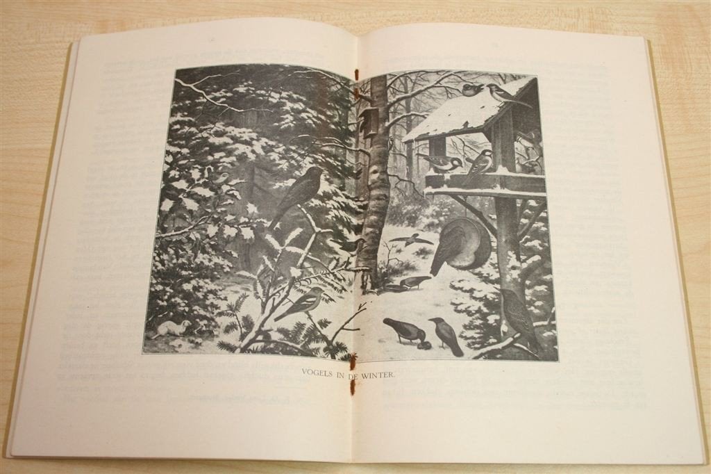 Dieren in hun Omgeving — Vogels in de Winter [ca. 1940], Ophalen of Verzenden, Gelezen, Vogels