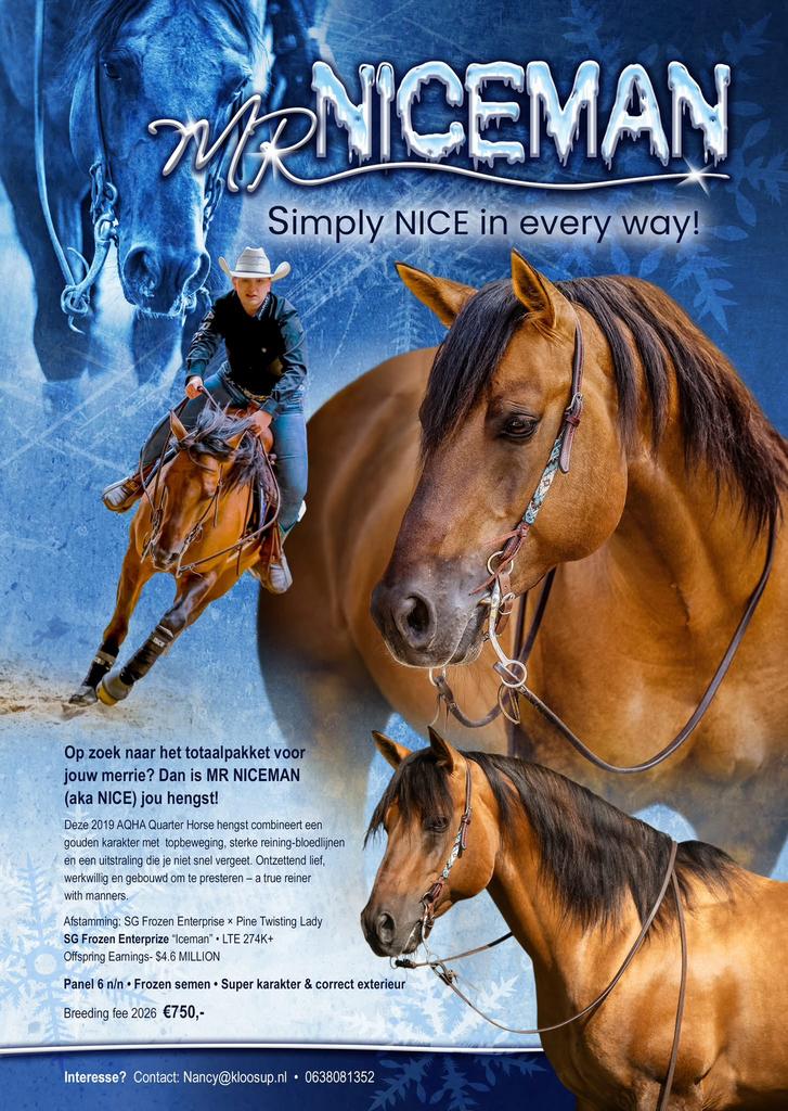 MR NICEMAN; SG Frozen Enterprise×Pine Twisting Lady, Dieren en Toebehoren, Nancy Kloos, Hengst, Nancy@kloosup.nl, Amsterdam