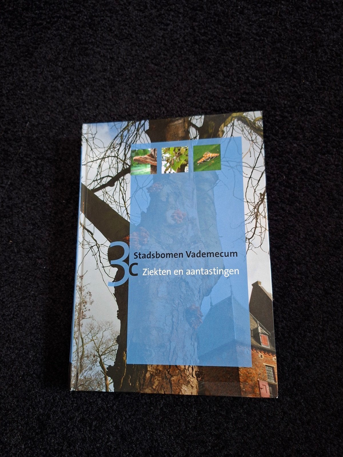 Stadsbomen Vademecum: Ziekten en aantastingen, Boeken, Natuur, Ophalen of Verzenden, Gelezen, Bloemen, Planten en Bomen, Onbekend