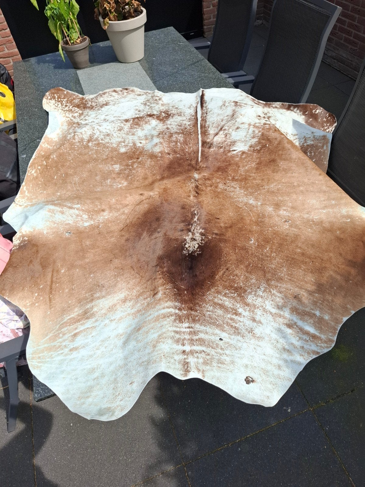Koeienhuidkleed, Ophalen, Gebruikt, Rechthoekig, 50 tot 100 cm