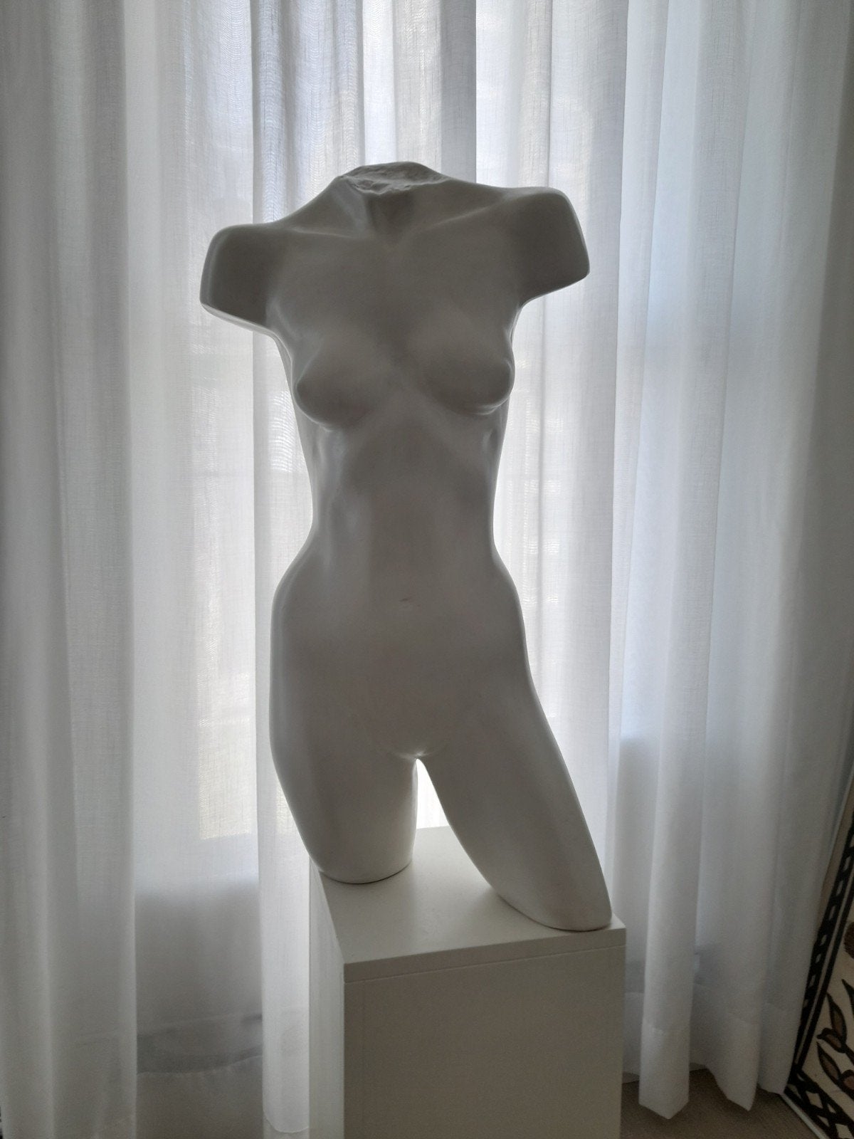 Torso terracotta, Ophalen