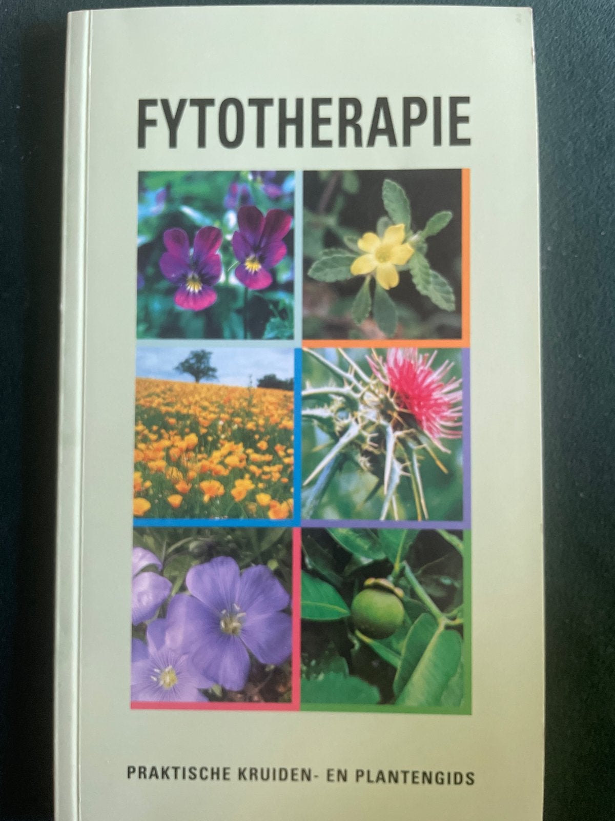 Fytotherapie: Praktische Kruiden- en Plantengids, Boeken, Ophalen of Verzenden, Gelezen, Kruiden en Alternatief