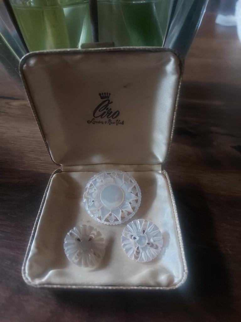Prachtig mooi Vintage setje parelmoer Broche met oorbellen, Ophalen of Verzenden, Overige materialen, Broche