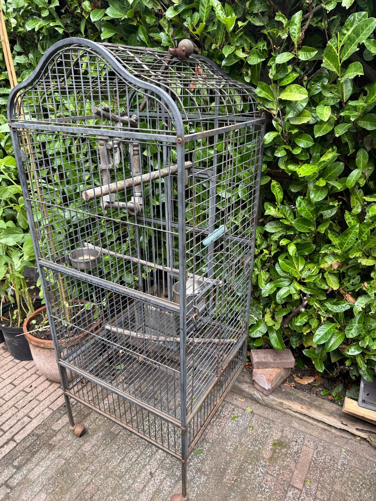 Vogelkooi, Ophalen, Gebruikt, Metaal, Vogelkooi
