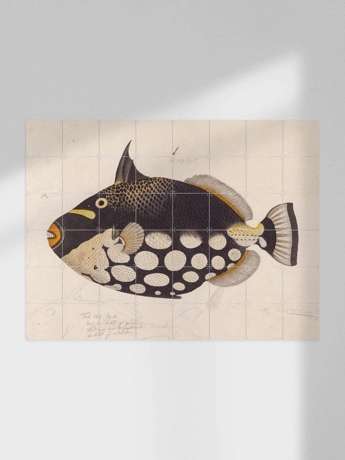 IXXI Black Fish Kawahara Keiga 140 x 100 cm, Huis en Inrichting, Woonaccessoires | Schilderijen, Tekeningen en Foto's, 125 cm of meer