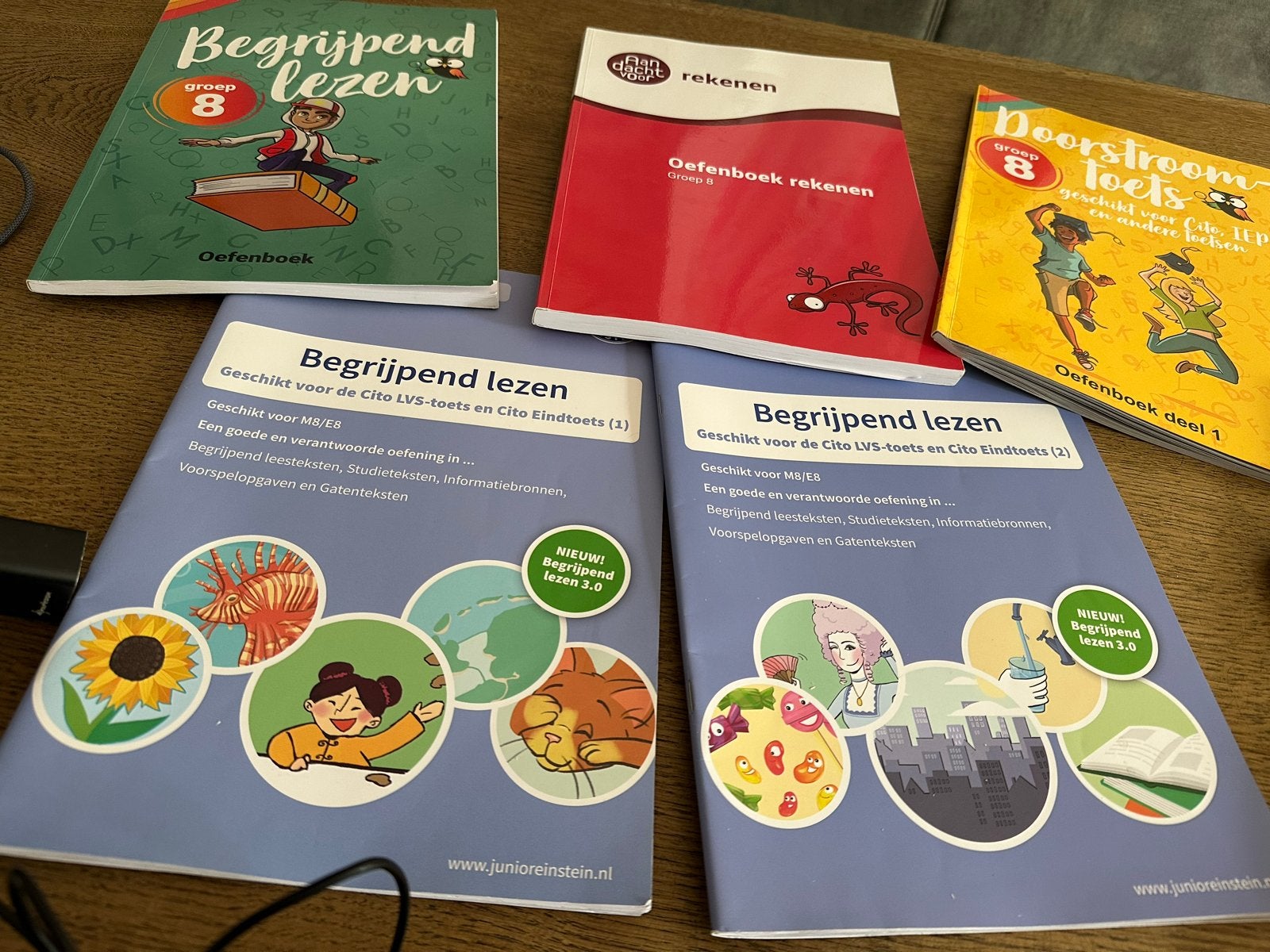 Oefenboek Begrijpend Lezen, Rekenen, Doorstroomtoets Groep 8, Ophalen of Verzenden, Gelezen, Overige niveaus, Nederlands