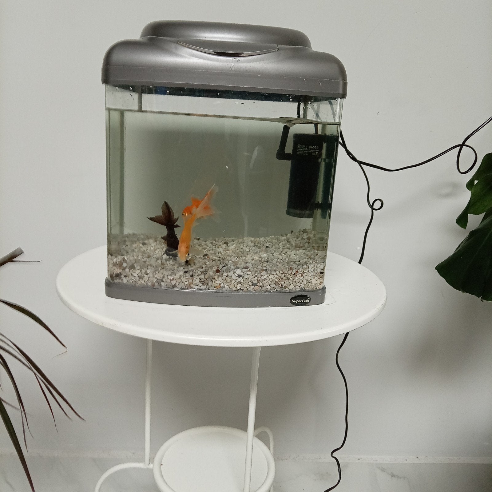 vissen aquarium, Dieren en Toebehoren, Ophalen of Verzenden, Gebruikt, Decoratie