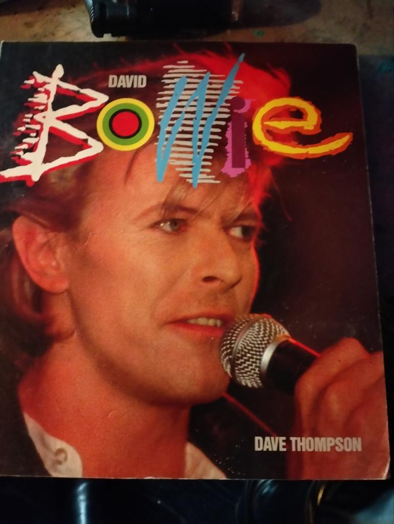 David Bowie Boek - Dave Thompson, Boeken, Muziek, Ophalen of Verzenden, Gelezen, Artiest, Dave Thompson