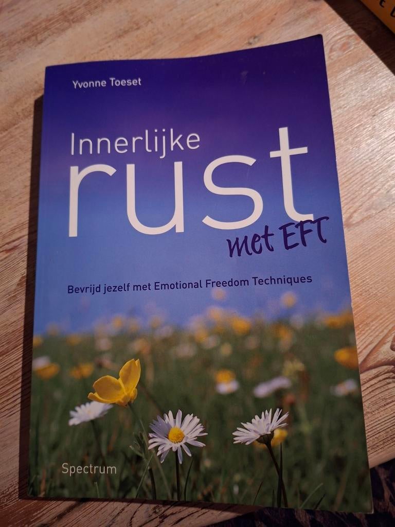 Yvonne Toeset - Innerlijke rust met EFT, Boeken, Ophalen of Verzenden, Zo goed als nieuw, Yvonne Toeset