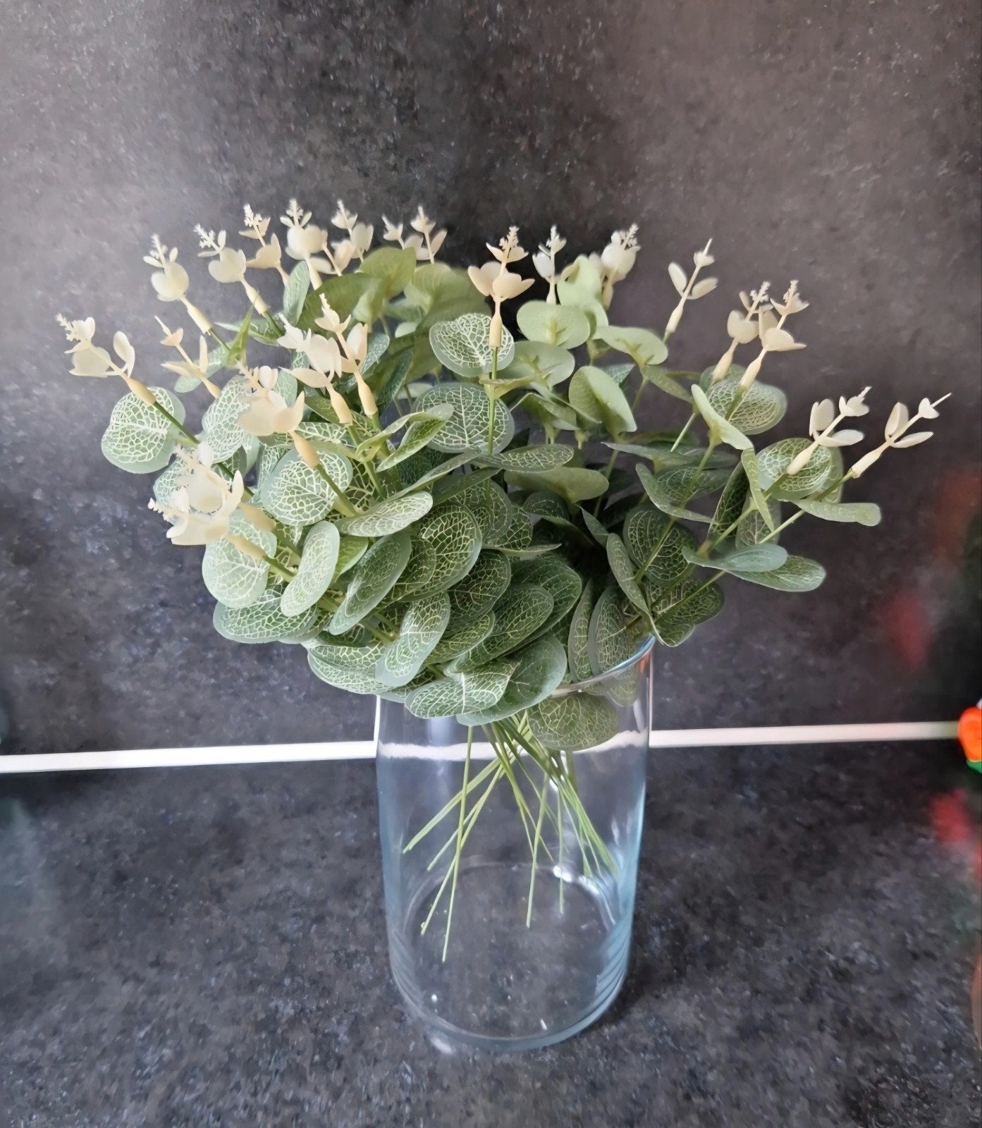 24 Eucalyptus takken van 30 cm, Binnen, Groen, Nieuw, Ophalen of Verzenden