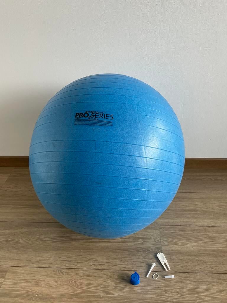 Fysio bal 75 cm (Theraband Pro Series), Ophalen, Gebruikt