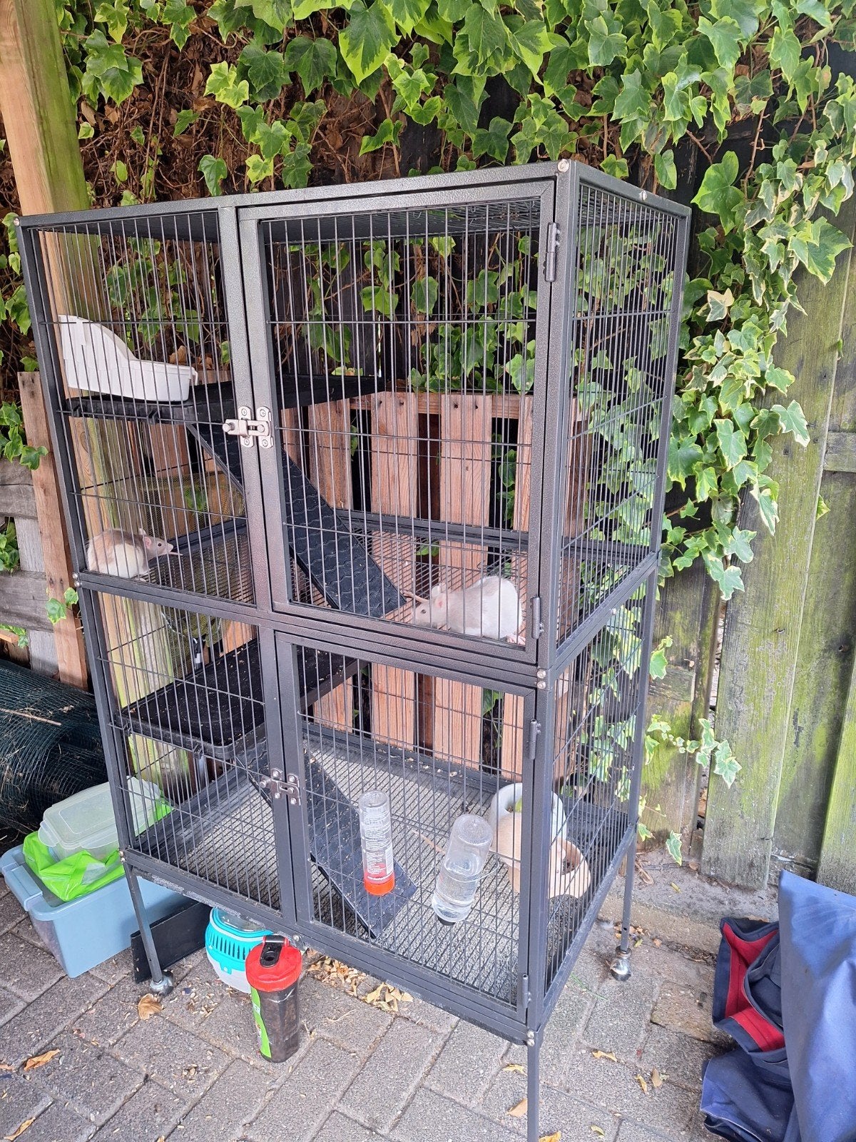 3 ratjes met kooi, Ophalen, Zo goed als nieuw, Aluminium, Vogelkooi