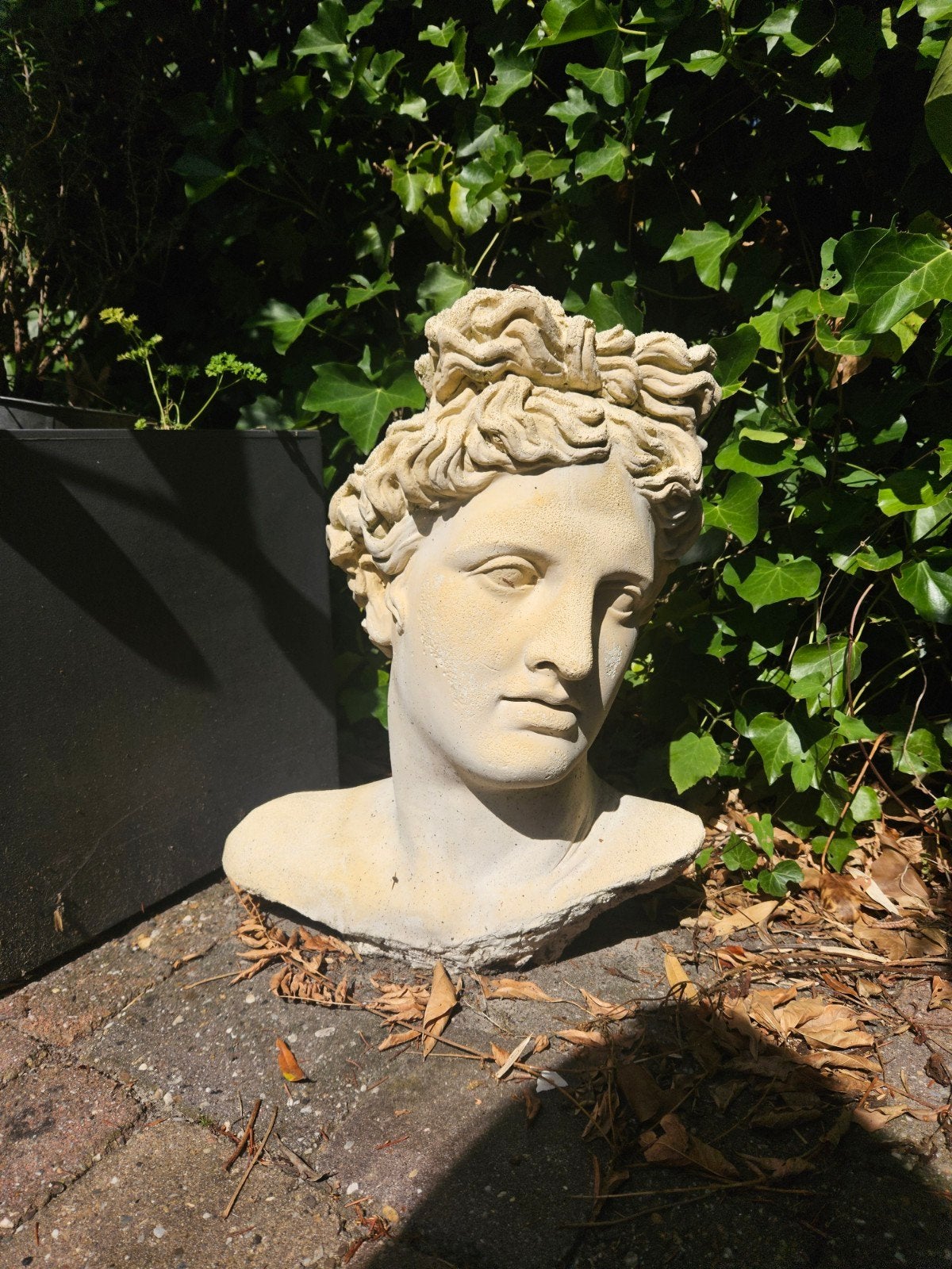 Borstbeeld Apollo, Ophalen of Verzenden