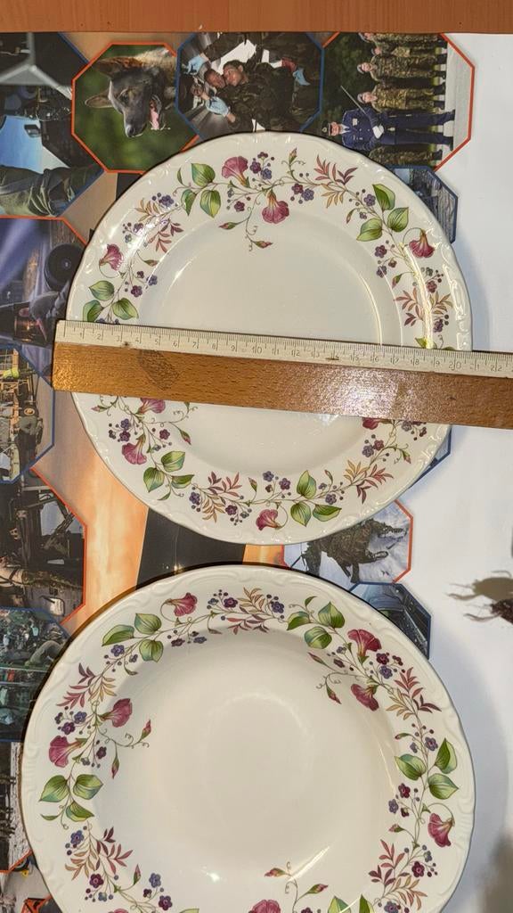 Vintage Pontesa "Royal China" borden - Spanje, Gebruikt, Keramiek, Ophalen of Verzenden, Bord(en)