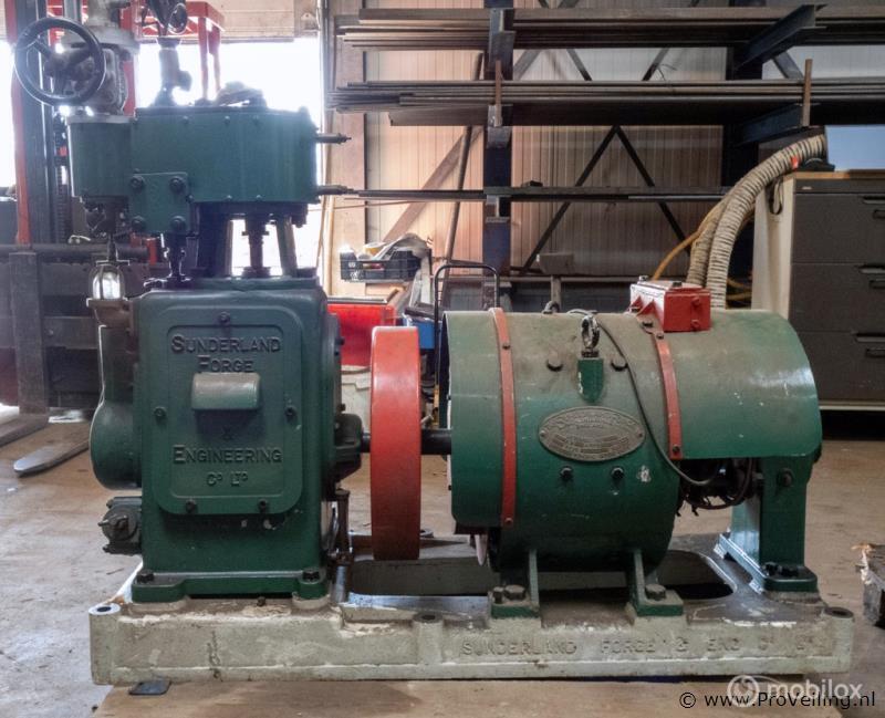 Online Veiling: Stationaire stoommotor Sunderland met gen..., Gebruikt